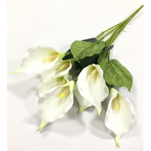 COPO, LEITE, EMBORRACHADA