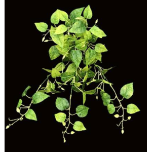 PENDENTE 9 GALHOS FOLHAGEM SORTIDA 53CM