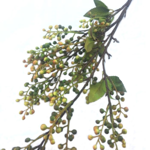 GALHO GU0002 SEMENTES 93CM