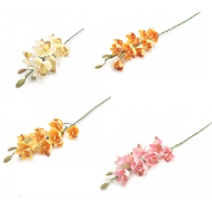 ORQUíDEA C/12 BOT?ES W113-251 PHALAENOPSIS