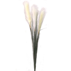 CAPIM DI0377 RABO DE RAPOSA 150CM