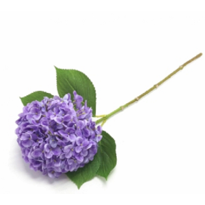 HORTÊNCIA X1 W300-174 TOQUE REAL