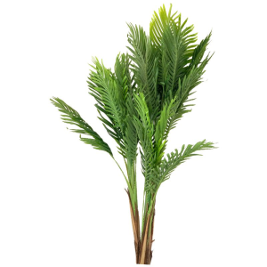 ÁRVORE AV-0002G PALMEIRA ARECA GR.