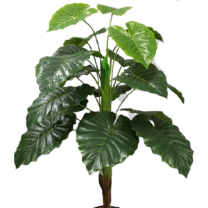 ÁRVORE DE FILODENDRO PREMIUM