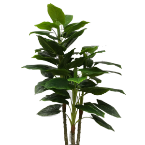 ÁRVORE FOLHA DE COPO DE LEITE 0371-72