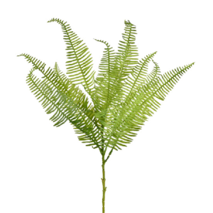 HASTE GALHO DE SAMAMBAIA