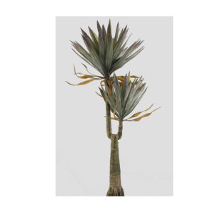 ARVORE YUCCA VERDE  COM 2 PONTAS
